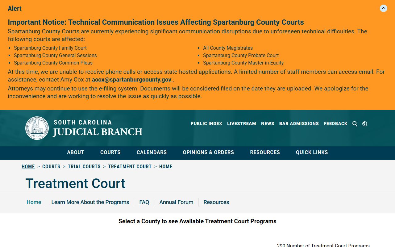 Lexington County treatment court overview for Circuit Court records