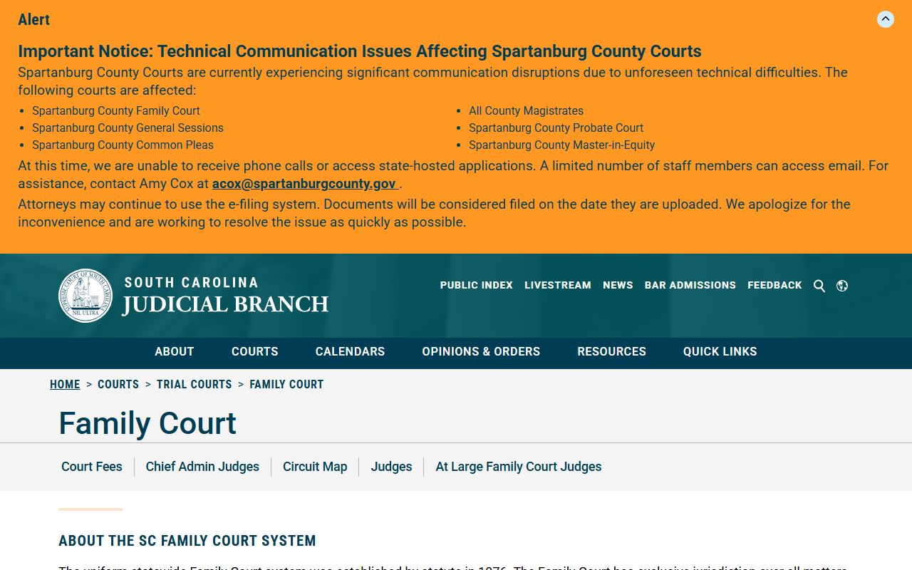 Lexington County Family Court trial court overview